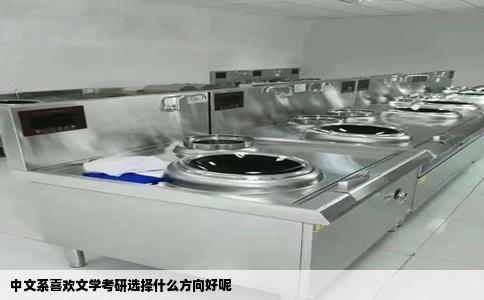中文系喜欢文学考研选择什么方向好呢