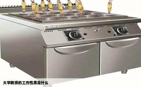 大学教师的工作性质是什么