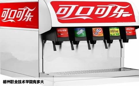 郴州职业技术学院有多大