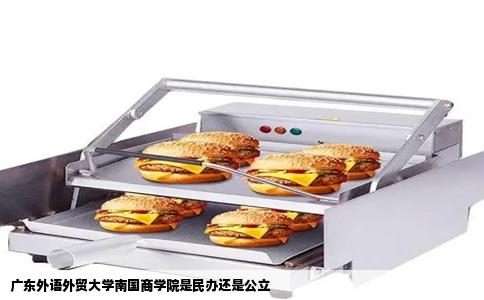广东外语外贸大学南国商学院是民办还是公立