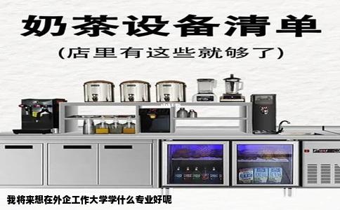 我将来想在外企工作大学学什么专业好呢