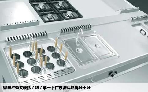 家里准备要装修了想了解一下广东涂料品牌好不好