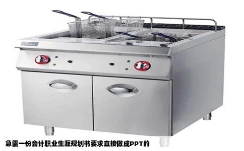 急需一份会计职业生涯规划书要求直接做成PPT的