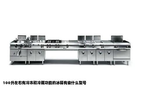 100升左右有冷冻和冷藏功能的冰箱有些什么型号