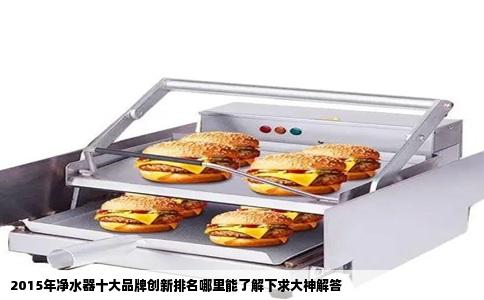 2015年净水器十大品牌创新排名哪里能了解下求大神解答