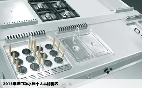 2015年进口净水器十大品牌排名