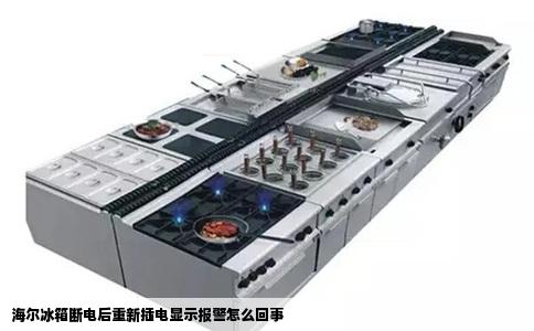 海尔冰箱断电后重新插电显示报警怎么回事