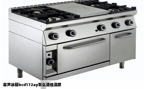 容声冰箱bcd172ay怎么调低温度