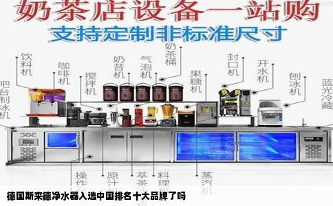 德国斯来德净水器入选中国排名十大品牌了吗