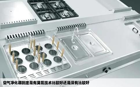 空气净化器到底是有臭氧技术比较好还是没有比较好