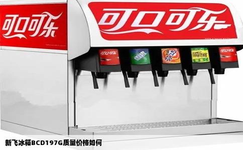 新飞冰箱BCD197G质量价格如何