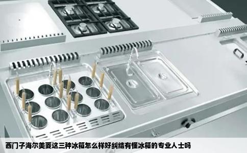 西门子海尔美菱这三种冰箱怎么样好纠结有懂冰箱的专业人士吗