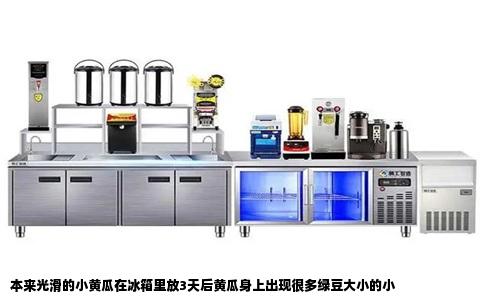 本来光滑的小黄瓜在冰箱里放3天后黄瓜身上出现很多绿豆大小的小