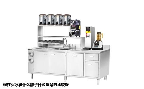 现在买冰箱什么牌子什么型号的比较好
