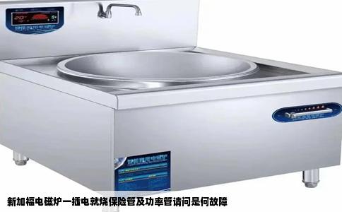 新加福电磁炉一插电就烧保险管及功率管请问是何故障