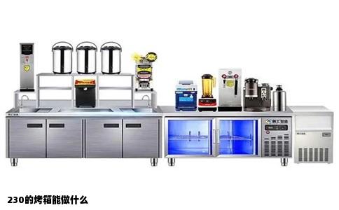 230的烤箱能做什么