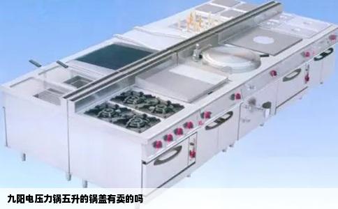 九阳电压力锅五升的锅盖有卖的吗