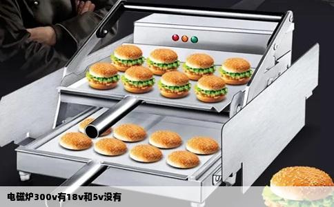 电磁炉300v有18v和5v没有