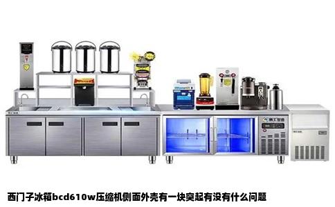 西门子冰箱bcd610w压缩机侧面外壳有一块突起有没有什么问题