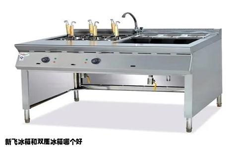 新飞冰箱和双鹿冰箱哪个好
