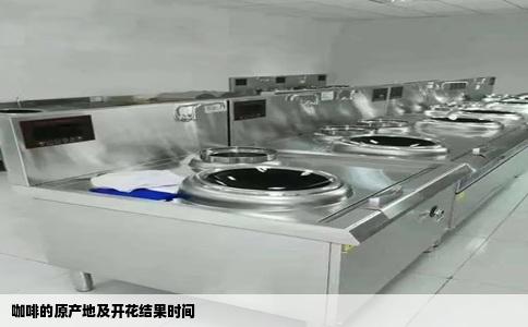 咖啡的原产地及开花结果时间