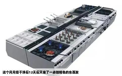 这个月月经干净后12天后又来了一点咖啡色的东西发