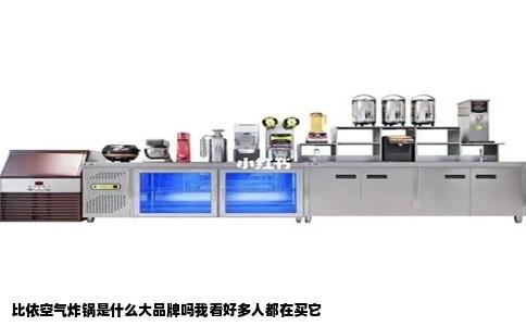 比依空气炸锅是什么大品牌吗我看好多人都在买它
