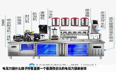 电压力锅什么牌子好我需要一个极具性价比的电压力锅谢谢哈