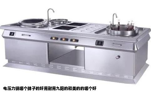 电压力锅哪个牌子的好用耐用九阳的和美的的哪个好