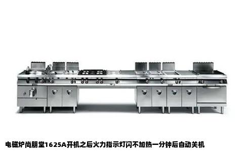 电磁炉尚朋堂1625A开机之后火力指示灯闪不加热一分钟后自动关机