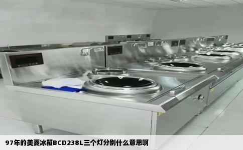 97年的美菱冰箱BCD238L三个灯分别什么意思啊