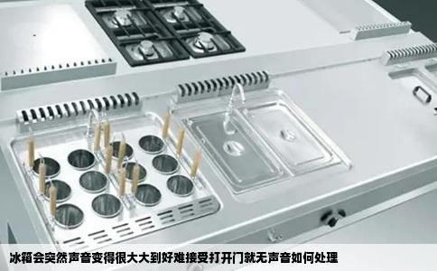 冰箱会突然声音变得很大大到好难接受打开门就无声音如何处理