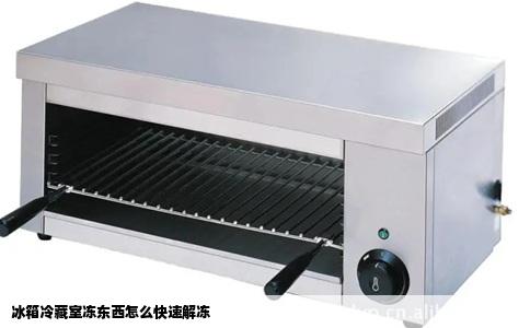 冰箱冷藏室冻东西怎么快速解冻