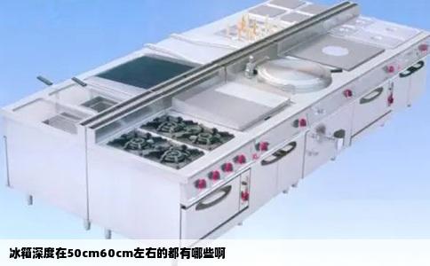 冰箱深度在50cm60cm左右的都有哪些啊