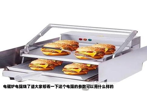 电磁炉电阻烧了请大家帮看一下这个电阻的参数可以用什么样的