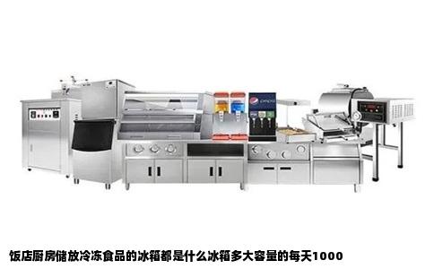 饭店厨房储放冷冻食品的冰箱都是什么冰箱多大容量的每天1000