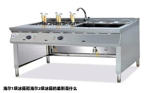 海尔1级冰箱和海尔2级冰箱的差别是什么