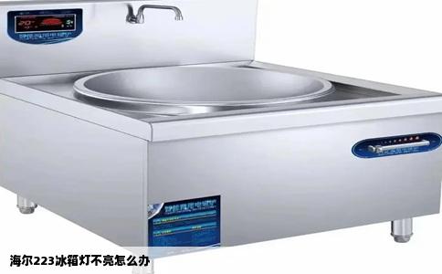 海尔223冰箱灯不亮怎么办