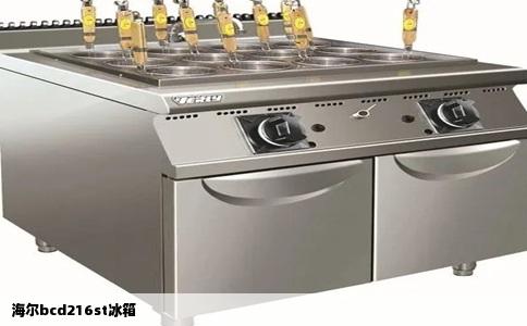 海尔bcd216st冰箱