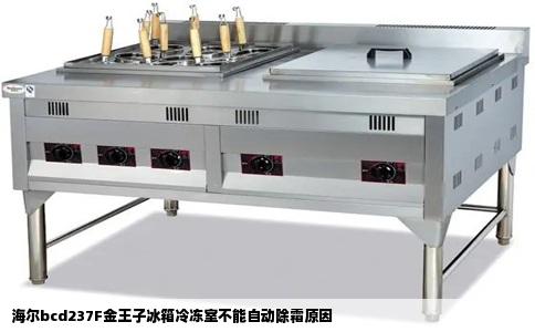 海尔bcd237F金王子冰箱冷冻室不能自动除霜原因