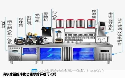 海尔冰箱的净化功能总给开着可以吗