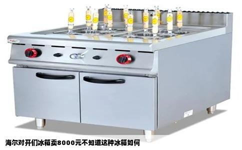 海尔对开们冰箱卖8000元不知道这种冰箱如何