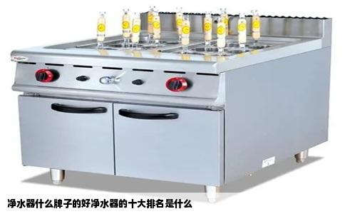 净水器什么牌子的好净水器的十大排名是什么