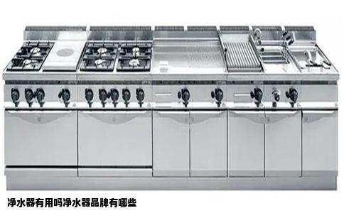 净水器有用吗净水器品牌有哪些