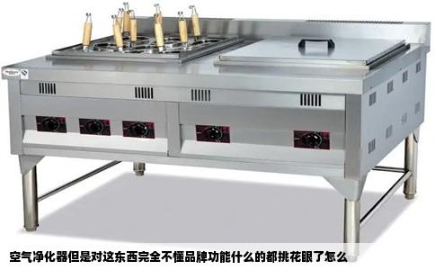 空气净化器但是对这东西完全不懂品牌功能什么的都挑花眼了怎么