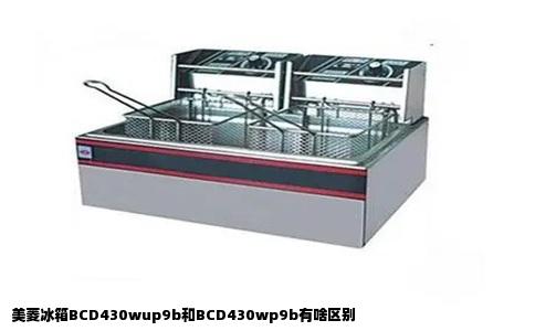 美菱冰箱BCD430wup9b和BCD430wp9b有啥区别