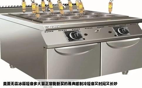 美菱无霜冰箱噪音多大算正常我新买的雅典娜制冷噪音又时间又长吵