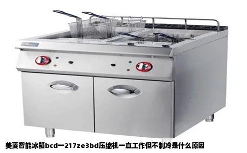 美菱智能冰箱bcd一217ze3bd压缩机一直工作但不制冷是什么原因