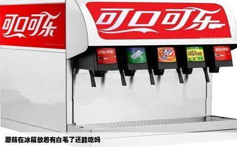 蘑菇在冰箱放着有白毛了还能吃吗