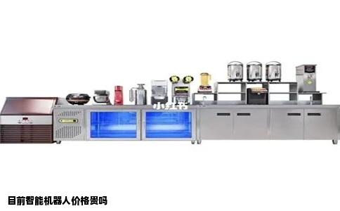 目前智能机器人价格贵吗